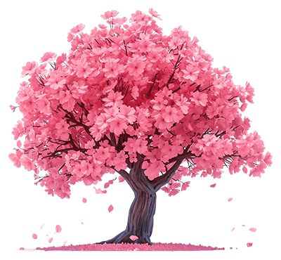 Cherry blossom